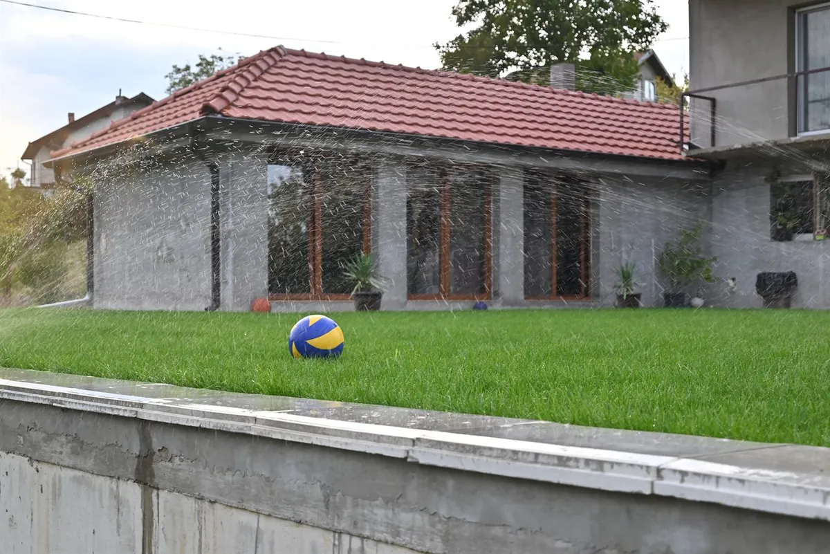 Uređen travnjak, Trava Majstor, fotografija 26