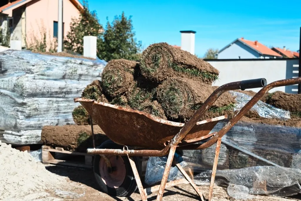 Radovi na uređenju travnjaka, Trava Majstor, fotografija 36